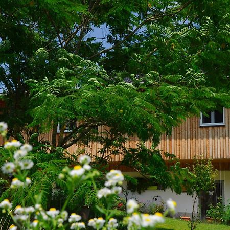 Das Stille Paradies Ledenitzen Exterior foto