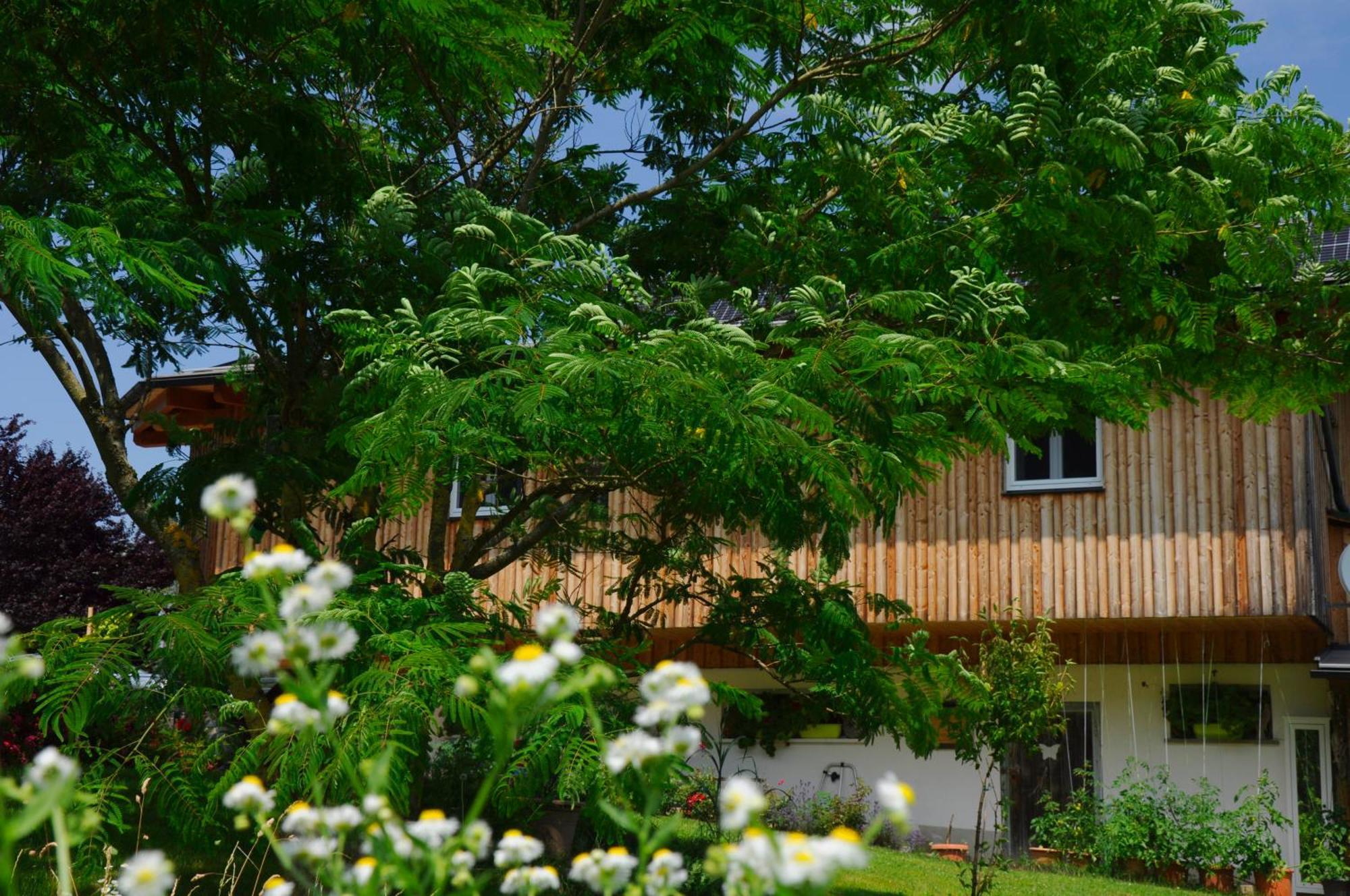 Das Stille Paradies Ledenitzen Exterior foto