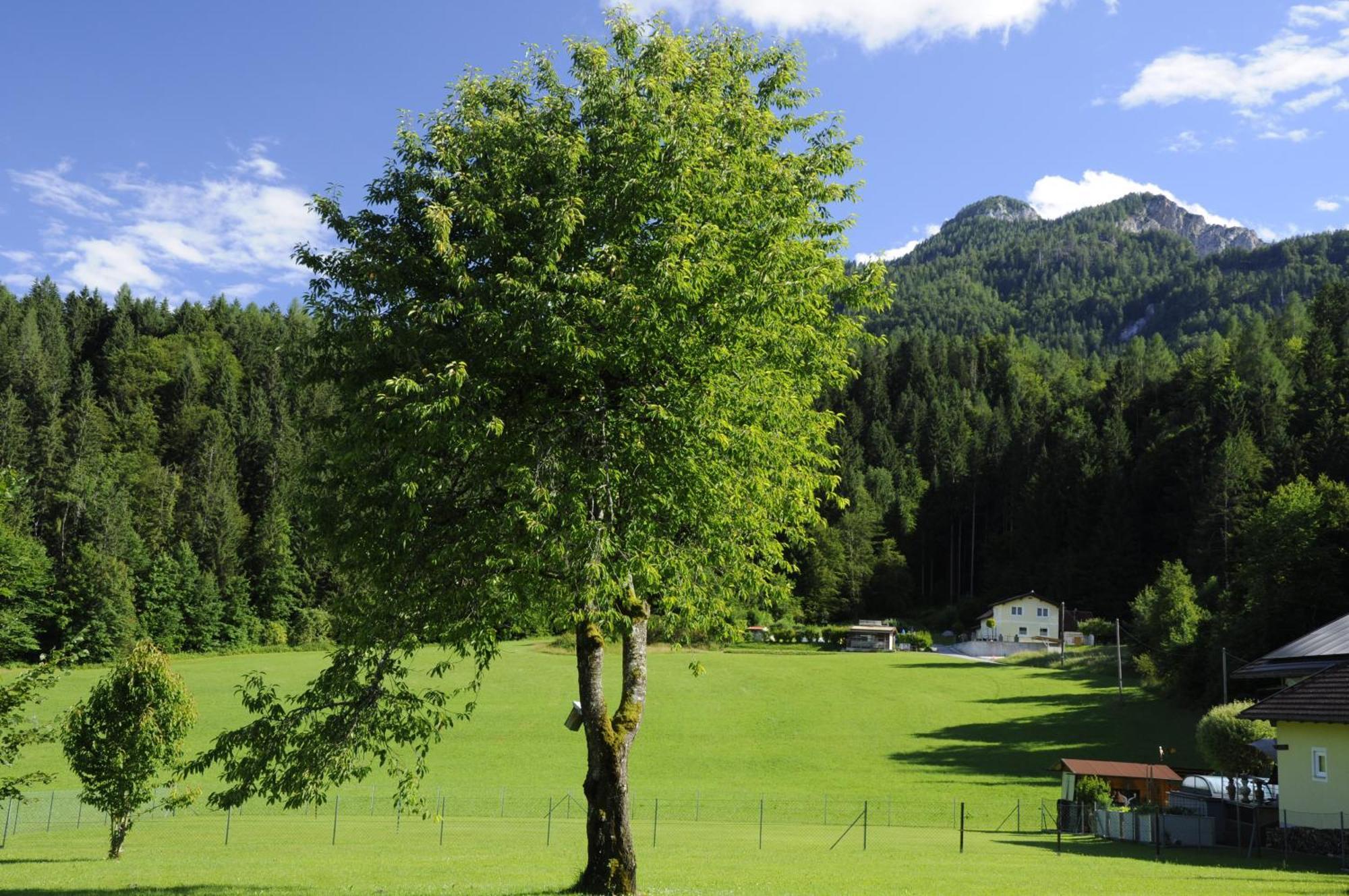 Das Stille Paradies Ledenitzen Exterior foto